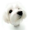 JackPeterso's profile picture