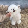 shuto's profile picture