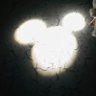 Profilbild von ここ田♪
