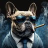 The Dog's profile picture