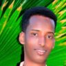 Ahmed Abdi's profile picture