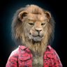 Aint_Lion profil fotoğrafı