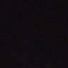 Joss🐝's profile picture