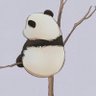 Tao's profile picture