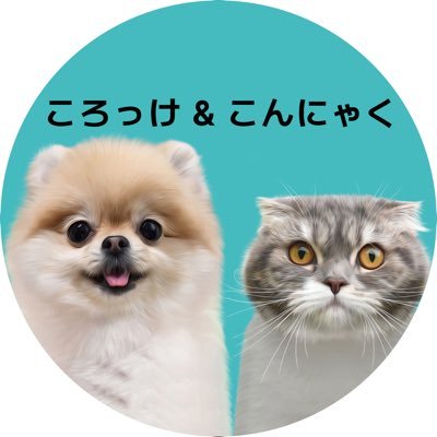 ころっけ&こんにゃく's profile picture