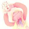 Profilbild von Spooky Rose