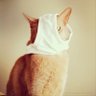 TwoSim | ♚'s profile picture