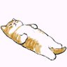 好奇心害死猫's profile picture