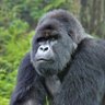 AVN's profile picture