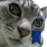 Profilbild von 蝦夷ほい
