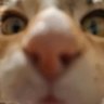 Profilbild von Sav