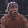 Hollywood Hogan 的头像
