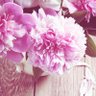 الحياة حلوه's profile picture