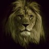 Philosophical Society net's profile picture