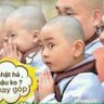 canh nguyen's profile picture