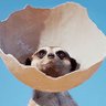 noobmaster's profile picture