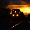 Night train's profile picture