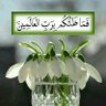 ابو عرفات profil fotoğrafı