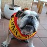 Juan Sánchez's profile picture