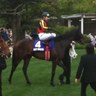 Profilbild von 競馬新党 競馬とFXで生きていく