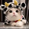 冲凉房舞王's profile picture