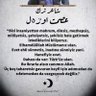 Mehmet Salih Turanlı's profile picture