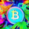 Profilbild von MilheiroCoin