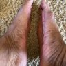 bigfootlover ็ๅคดๅ