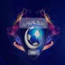 برق's profile picture