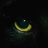 brujeria's profile picture