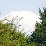 たんたん00 profil fotoğrafı