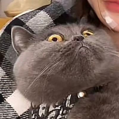 ไอ้ตัวหอม 🐶🌈's profile picture