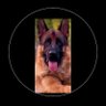 Ider Cedeño's profile picture