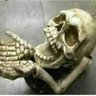 рдЖрдкрд▓рд╛ рдорд╛рдорд╛'s profile picture