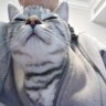 Profilbild von Edwardooo