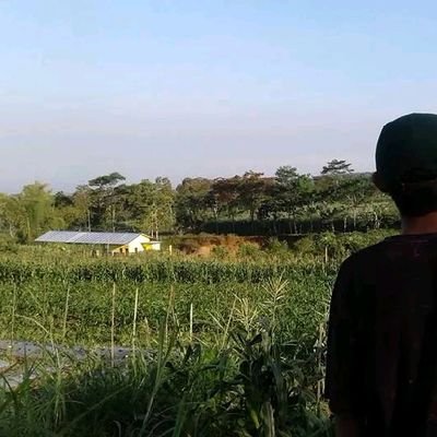 BrondongTrapis's profile picture