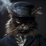 ChatBleuNoir profil fotoğrafı