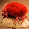 Birba Boti (INC)'s profile picture