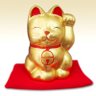 金猫 3曲目シングルJump for your life 配信中 profil fotoğrafı