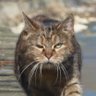 ∞∆∞ profil fotoğrafı