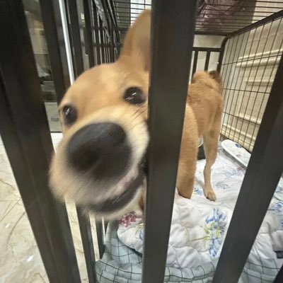 xyxy6677's profile picture