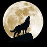 Lupus Noctem's profile picture