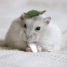 なぎ。 profil fotoğrafı
