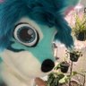 Syther the wusky 🔞 profil fotoğrafı