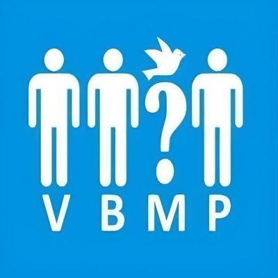 VBMP5's profile picture