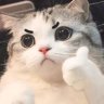 队长别开枪~是我🤣 profil fotoğrafı