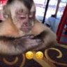 Momo. profil fotoğrafı