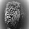 Atrocity187's profile picture
