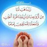 Profilbild von Mohamed Mohamed attia