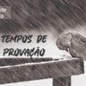 jota do mato 的头像